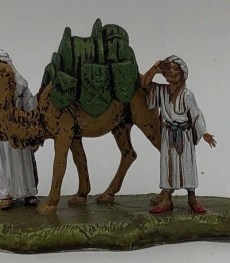 cammellieri con un cammello cm 6 A